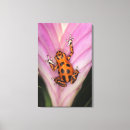 Search for darts canvas prints Nature