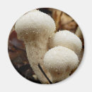 Search for puffball Mushroom