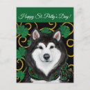 Search for malamute postcards Siberian husky