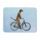 Search for bicycle for two magnets Animals