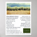 Search for olives photography Photographer