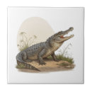 Search for crocodile tiles Wildlife