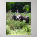 Search for standing together posters Animal