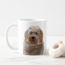 Search for labradoodle puppy mugs Poodle