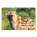 Search for spots posters Safari
