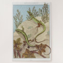 Search for lizard puzzles Reptile
