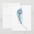 Search for peacock feathers postcards Blue