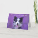 Search for border collie quote Cute