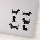 Search for cute sausage stickers Pet