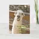 Search for teeth cards Braces