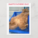 Search for fat cat cards Animal