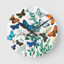 Search for caterpillar clocks Moth