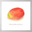 Search for mango gifts Tropical fruit