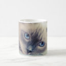 Search for ragdoll mugs Blue