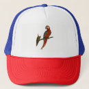 Search for parrots hats Pet