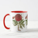 Search for perennials mugs Botanical