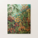 Search for biology puzzles Kunstformen der natur