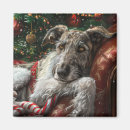 Search for wolf hound magnets Dog