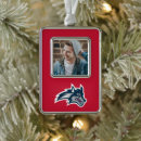 Search for brook christmas tree decorations Seawolves