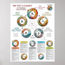 Search for tiger wall posters Dragon