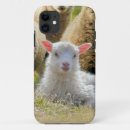 Search for baby lamb iphone cases Sheep