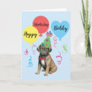 Search for cane corso Italian mastiff