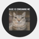 Search for rage stickers Kitten