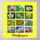 Search for horticultural art Nature