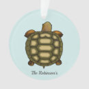 Search for tortoise christmas tree decorations Pet