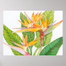 Search for exotic posters Flowers