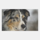 Search for merle stickers Puppy