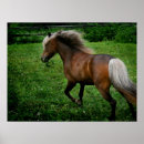 Search for trotting horse posters Cute