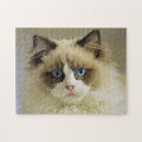 Search for ragdoll cats puzzles Animal