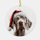 Search for weimaraner christmas tree decorations Dog