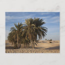 Search for douz Sahara desert