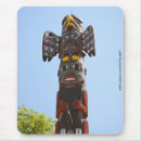 Search for native america electronics Indian