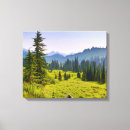 Search for danita delimont canvas prints Forest