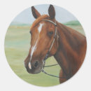 Search for stallion horse stickers Mare