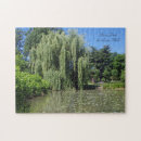 Search for willow photography Nature