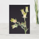 Search for during cards Flowers