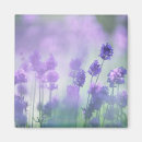 Search for herb magnets Purple