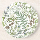 Search for green fern coasters Botanical