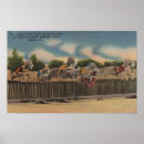 Search for dog kennel posters Florida