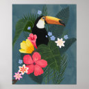 Search for tropical toucan posters Jungle