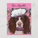 Search for springer postcards Spaniels