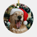 Search for mouth christmas tree decorations Dog