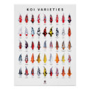 Search for zen posters Koi fish