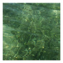 Search for seagrass posters Nature