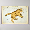 Search for ursa posters Space