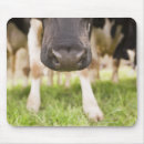 Search for production electronics Agriculture